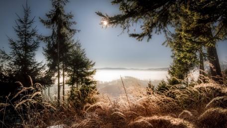 Serene Dusk in Frosty Wilderness wallpaper