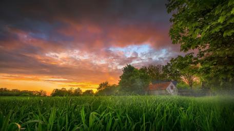 Serene Countryside Sunrise Wallpaper wallpaper