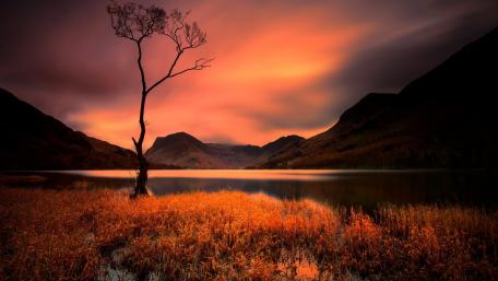 Lonely Majesty of Autumn Sunset wallpaper