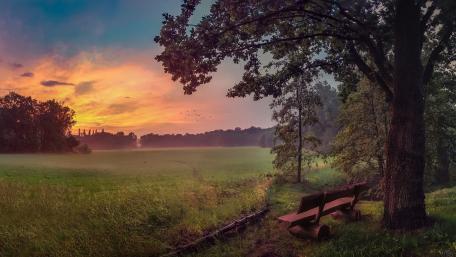 Serene Sunset Over Tranquil Fields wallpaper