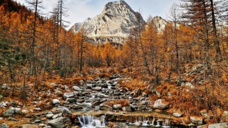 Autumn Serenity in Mountain Wilderness wallpaper