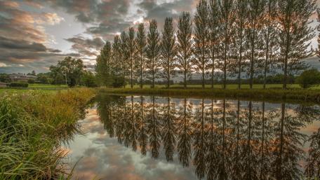 Tranquil Reflections of Nature's Beauty wallpaper