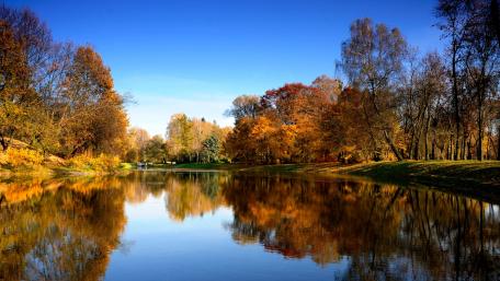 lake wallpaper