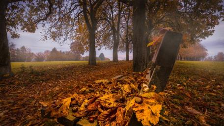 Tranquil Autumn Serenity in Nature wallpaper