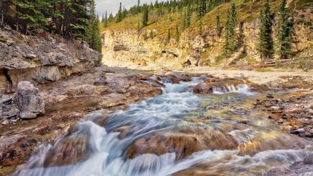 Serene Flow of Nature's River Beauty wallpaper