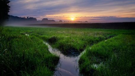 Misty Swamp at Dawn with Tranquil Watership wallpaper