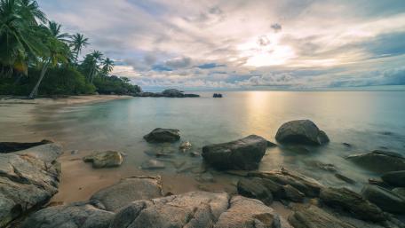Tranquil Tropical Beach at Sunset wallpaper