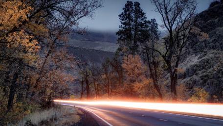 Serene Autumn Road Lights wallpaper