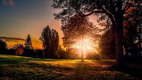 Autumn Sunset Serenity wallpaper