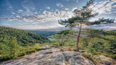 Majestic Panoramic Nature View with Tree wallpaper