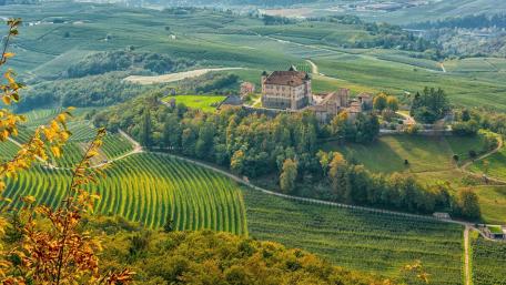 Majestic Castle Overlooking Rolling Green Hills wallpaper