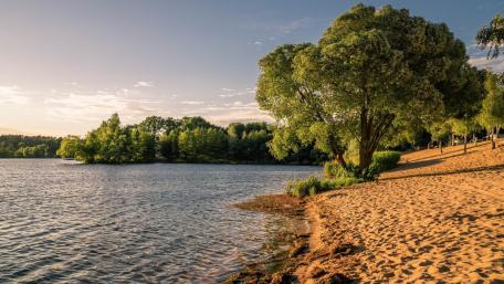Tranquil Lake Shoreline with Lush Greenery wallpaper
