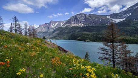 Serene Mountain Landscape with River and Wildflowers wallpaper