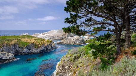 Tranquil Coastal Retreat with Verdant Pines wallpaper
