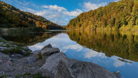 Tranquil River Reflections in Autumn Forest Scene wallpaper