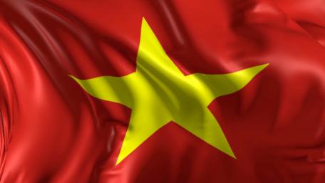 Flag Vietnam wallpaper