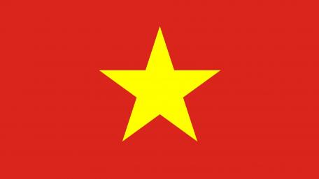 Flag Vietnam wallpaper