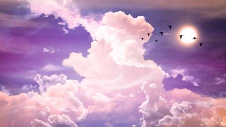 Dreamy Bird Flight in a Purple Sky wallpaper