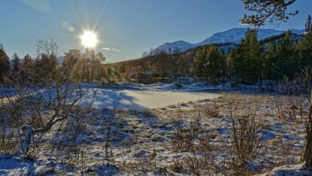 Winter Sunshine Over Serene Snowy Landscape wallpaper