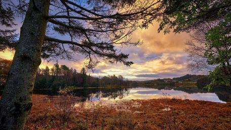 Serene Lake Reflections in Autumn's Embrace wallpaper