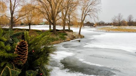 Winter Serenity in Nature's Embrace wallpaper