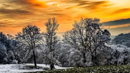 Majestic Winter Sunset Over Snowy Trees wallpaper