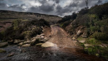Serene River Road Through Nature's Embrace wallpaper