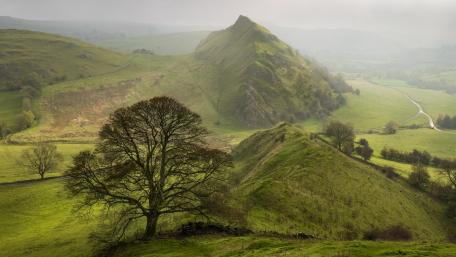 Lush Green Hills Under Misty Skies wallpaper