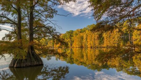 Autumn Serenity at the Lake wallpaper