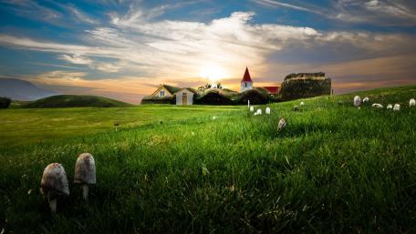 Serene Meadow at Dusk with Charming Mushrooms wallpaper