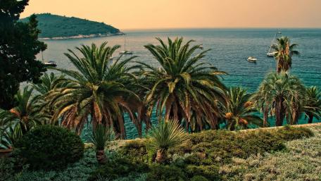 Tropical Serenity in Palms and Sea wallpaper