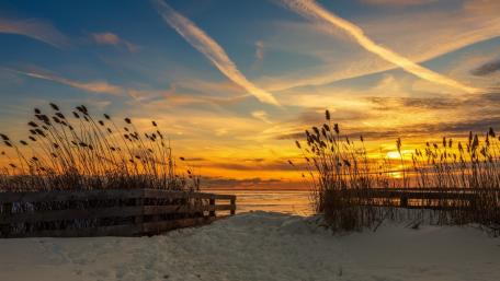 Snowy beach wallpaper