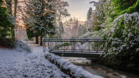 Winter Serenity Over a Snowy Bridge wallpaper