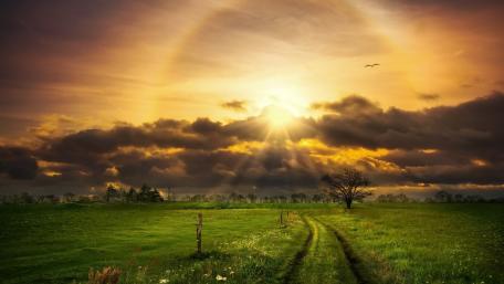 Serene Sunset Over Green Fields wallpaper