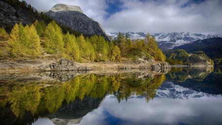 Serene Reflection of Nature's Beauty in a Lake wallpaper