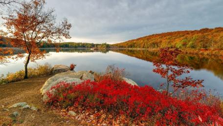 Autumn Serenity in Nature's Embrace wallpaper
