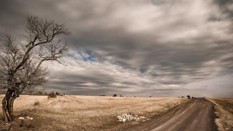 Serene Dirt Road Through Nature’s Embrace wallpaper