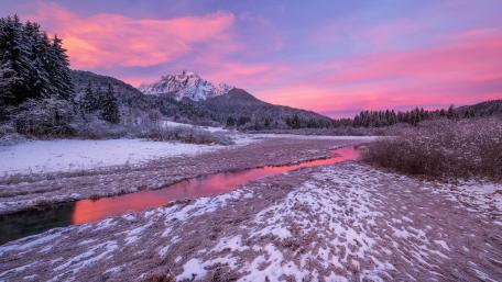 Zelenci Nature Reserve wallpaper