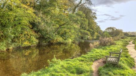 Serene Riverbank Retreating to Nature's Embrace wallpaper