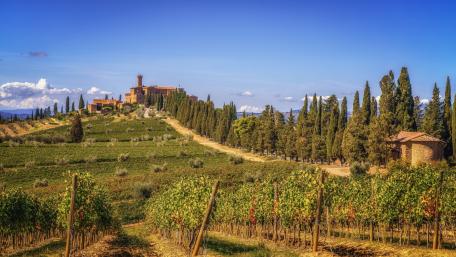 Castle Banfi, Montalcino wallpaper