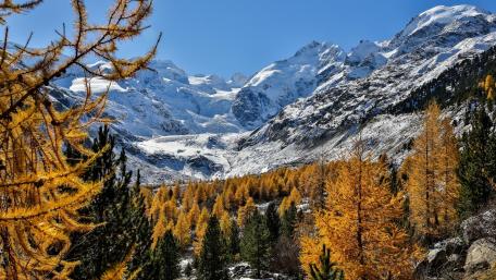 Stunning Autumn Scene at Morteratsch Glacier wallpaper