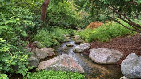Tranquil Stream Amidst Lush Greenery wallpaper