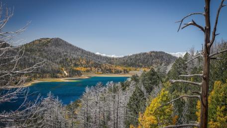 Autumn Serenity in Nature's Embrace wallpaper
