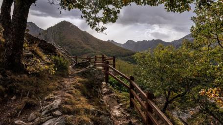 Serene Mountain Pathway Through Nature's Embrace wallpaper