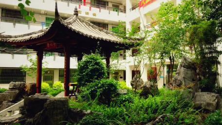 Serene Urban Oasis in City Landscape wallpaper