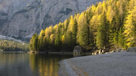 Golden Reflections of Autumn by the Lake wallpaper