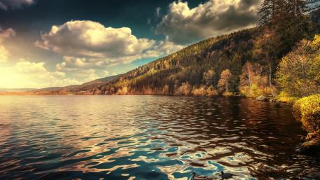 Serene Reflections of Nature's Beauty wallpaper