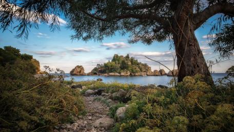 Serene Forest Path to Island Viewpoint wallpaper