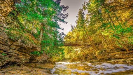 Serene River Bridge Surrounded by Lush Greenery wallpaper