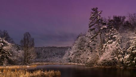 Serene Winter Bayou with Purple Sky wallpaper